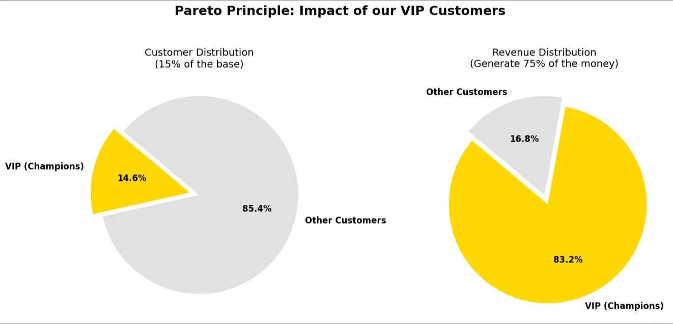 Pie charts: VIP share of customers vs share of revenue